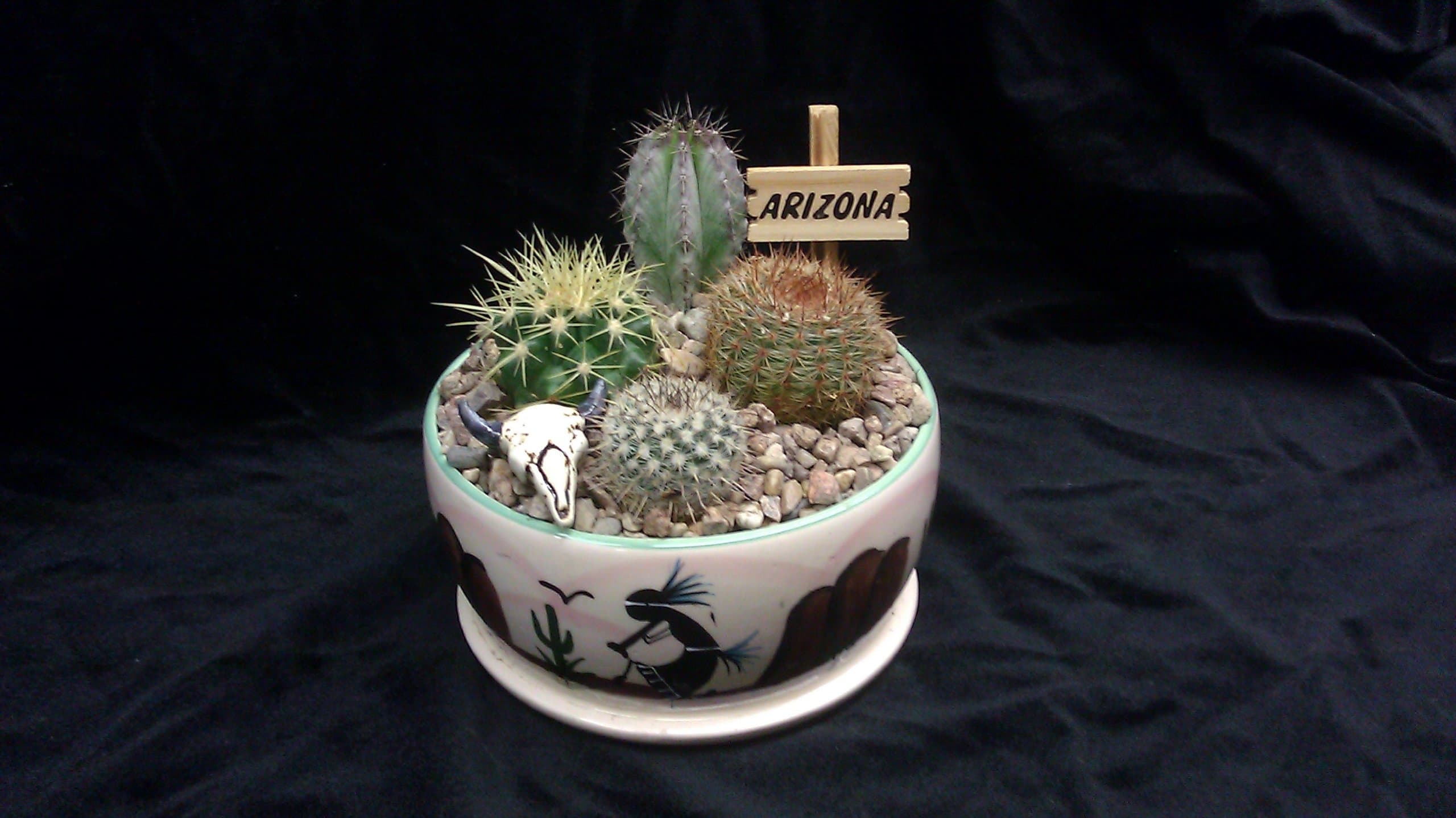 5.5" Cactus Garden