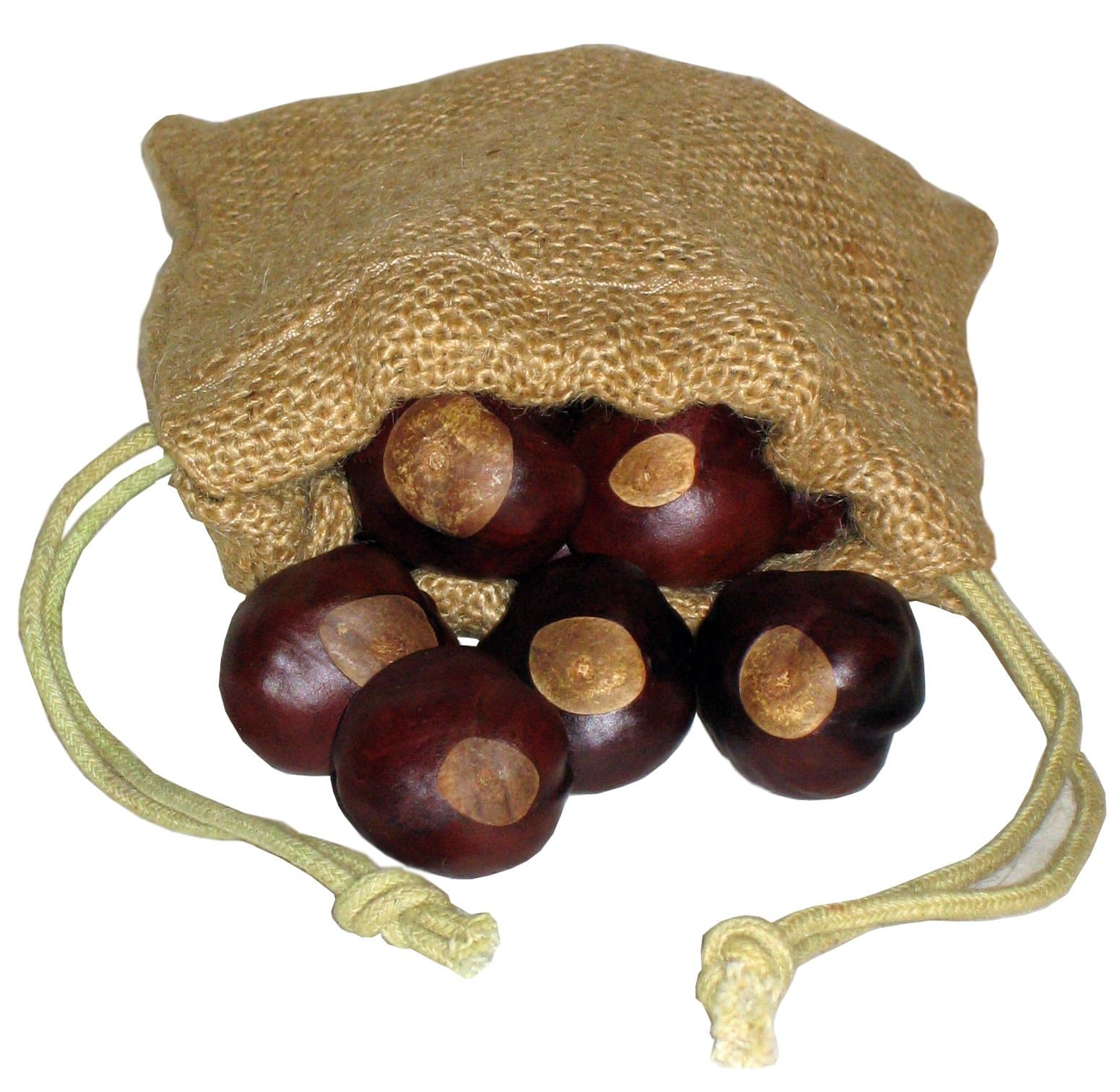 Buckeye Nuts in A Cloth Pouch with A Drawstring - Quarter Size - Twenty-Five Nuts