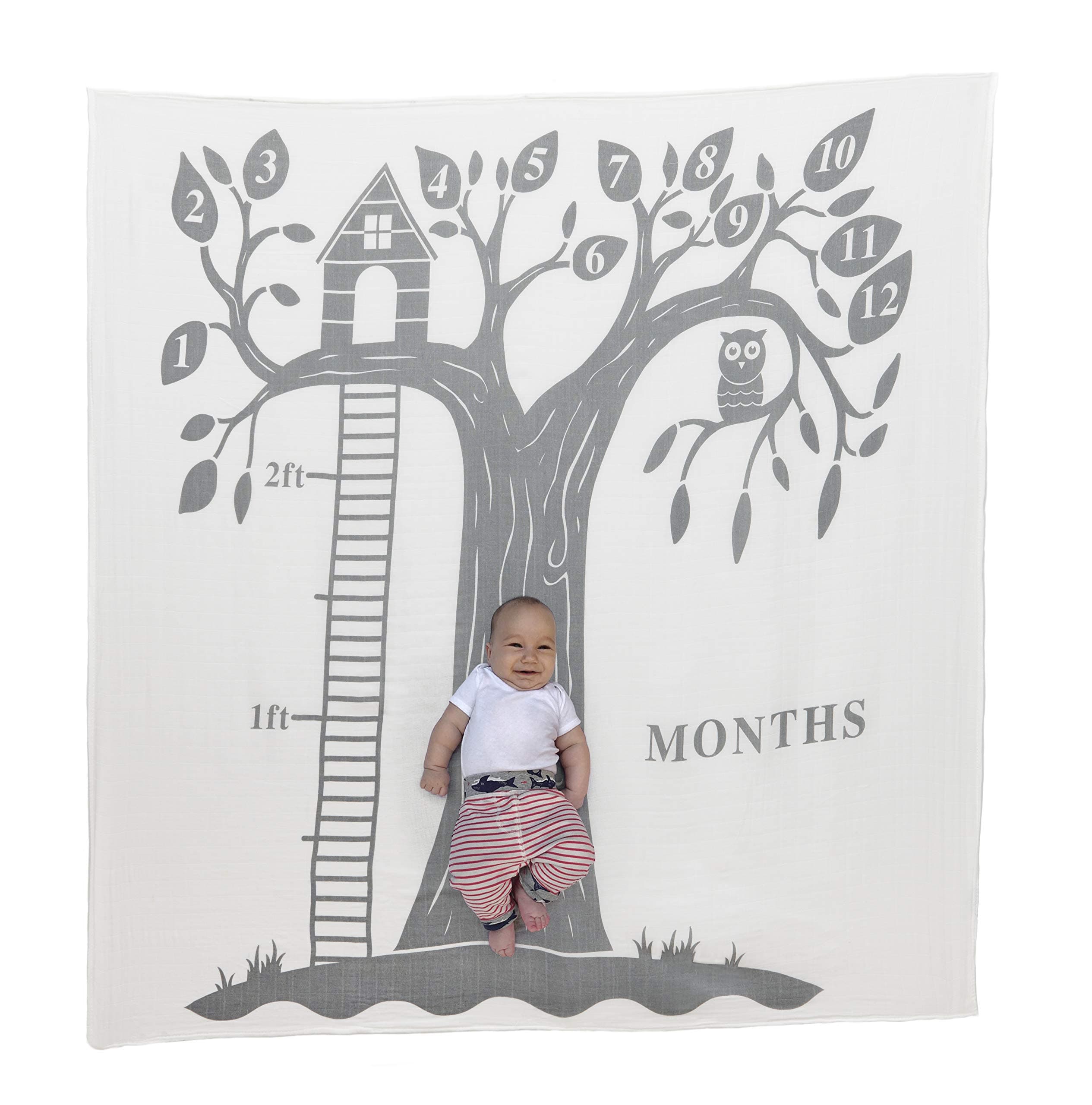 Dejaroo Baby's First Year Milestone Blanket and Felt Circle Set