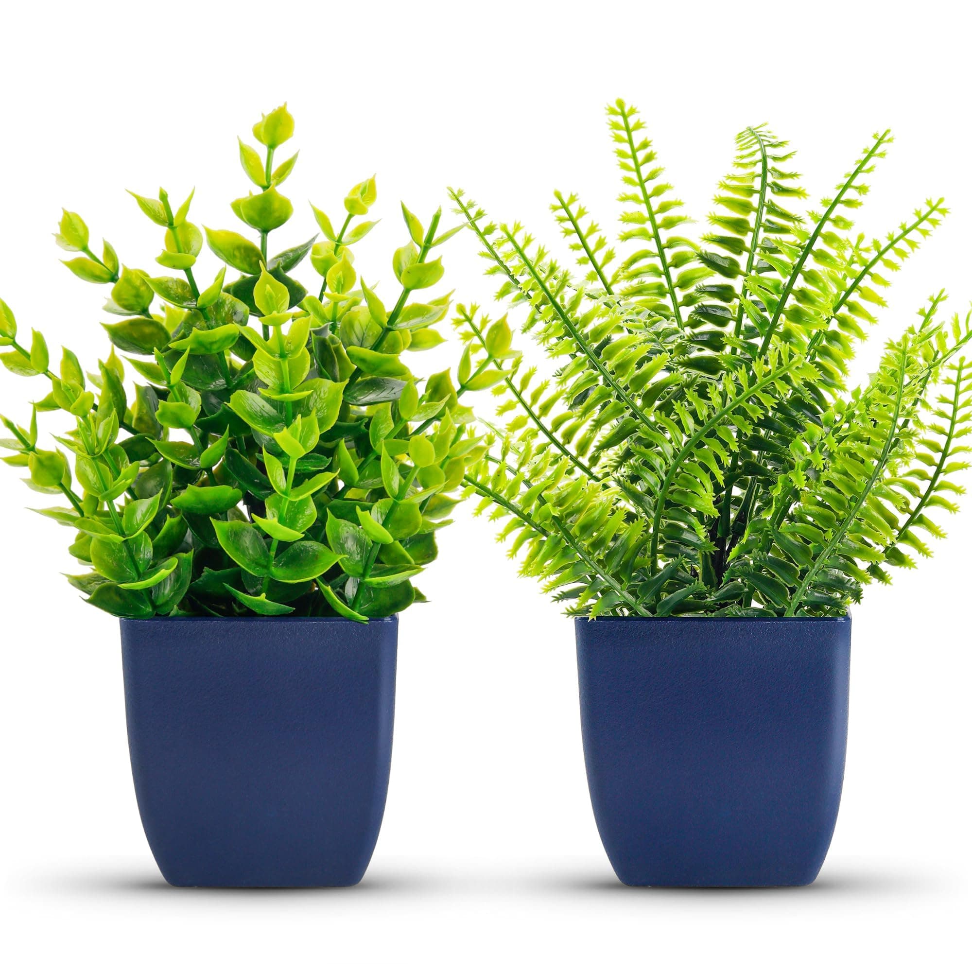 Der Rose Fake Plants 2 Pack Small Artificial Plants in Blue Pots Faux Plants Indoor for Home Room Bathroom Living Room Decor