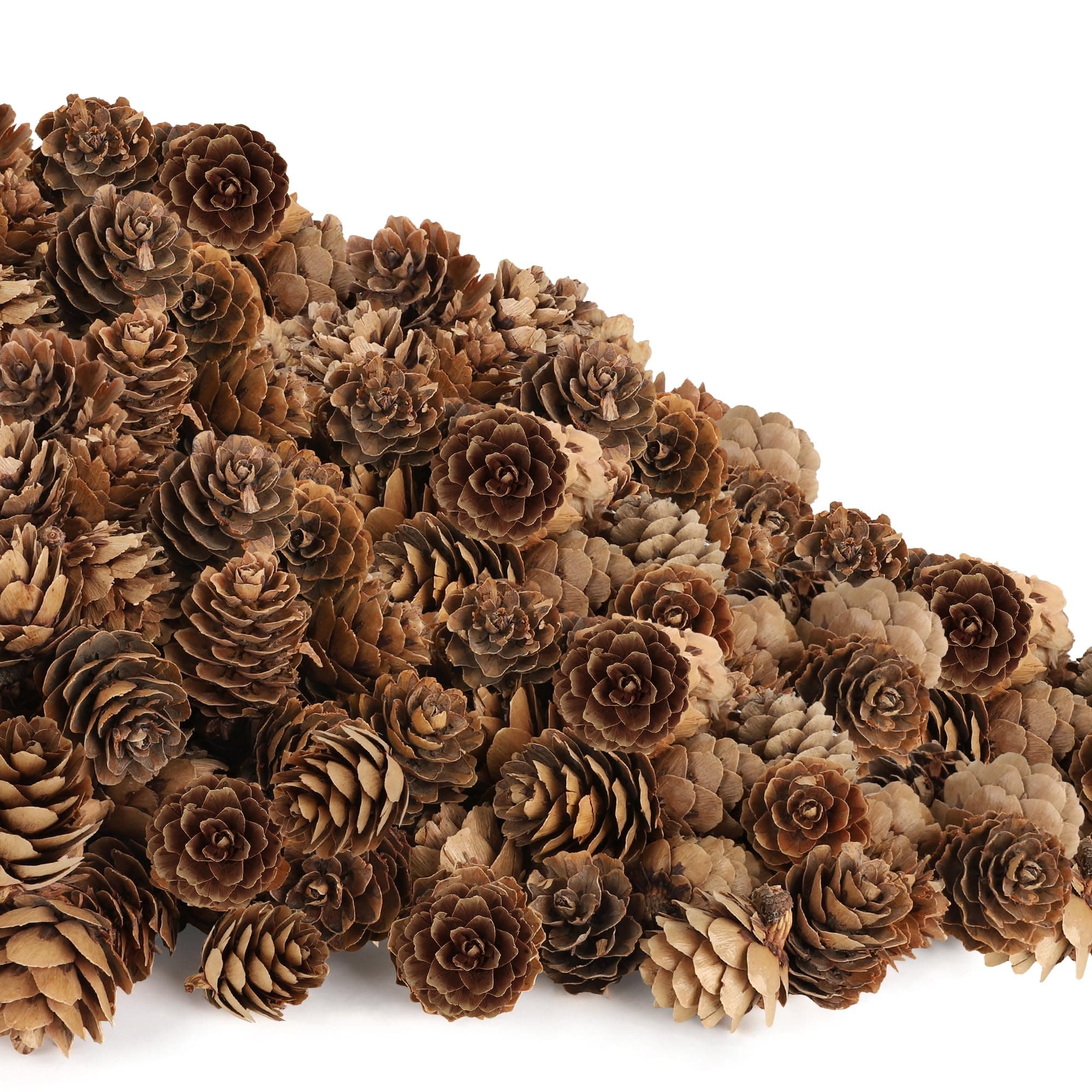 100 Pack Pine Cones, Mini Natural Pine Cones for Christmas Tree, 1.18 in Mini Pinecone Ornaments, Christmas Wreath Craft, Winter Decorations for Home Fall Decor Vase Filler