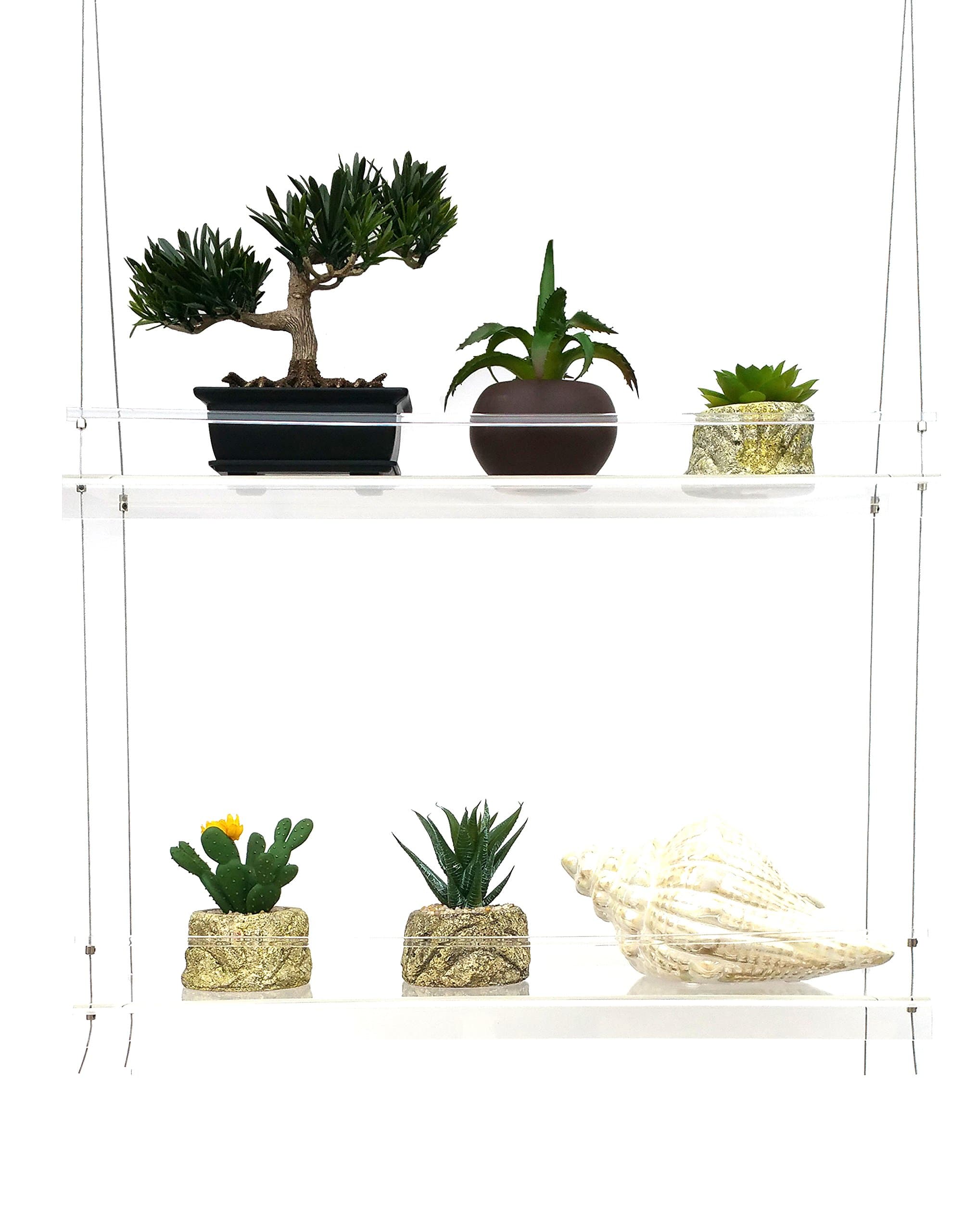 Sunshine Innovations Limited TIME for First TIME Selling ON Amazon Indoor Window Plant Shelves | for Plants, Herbs, Flowers & Decor | 2 Adjustable Acrylic Shelves