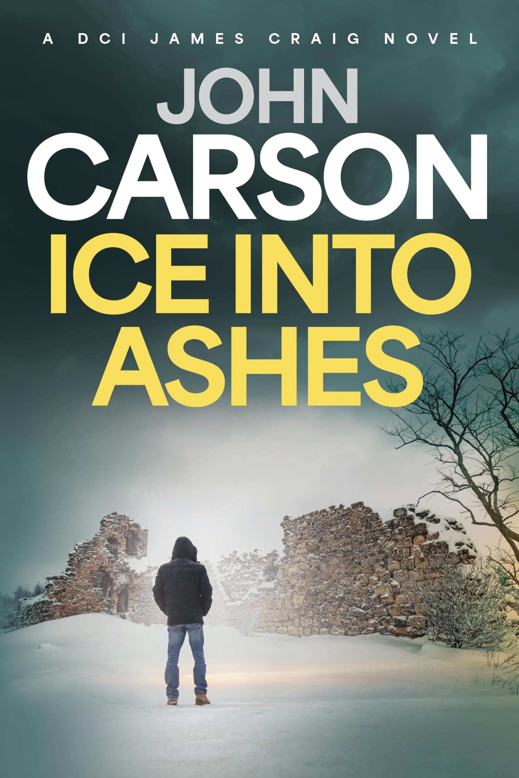 Ice Into Ashes (DCI James Craig Book 1)