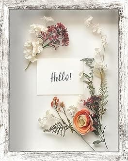 FrameWorks 11x14 Driftwood Wooden Shadow Box Frame – Soft Felt Back, Tempered Glass, and Included Elegant White Ball Push Pins