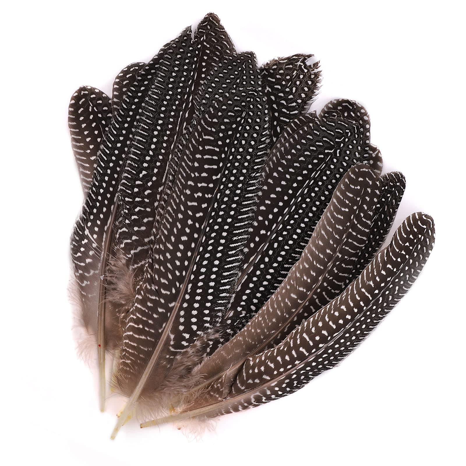 30 Pcs Natural Pheasant Feathers,DIY Pheasant Tails Feather,Soft Native Plume for Hair Hats Crafts Party Decoration Cosply Props,Natural Color
