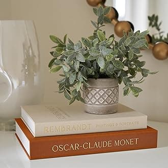 Beautiful Decorative Books - Set of 2 Linen Boxes Enhance Your Coffee Table, Bookshelf or Mantle Decor - Stylish Fake/Faux Books for Modern Home Decoration, Photo Storage and as a Keepsake Box