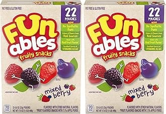 Fruity Snacks, Mixed Berry Flavored Snacks, 0.8 oz, 22ct (Pack of 2)