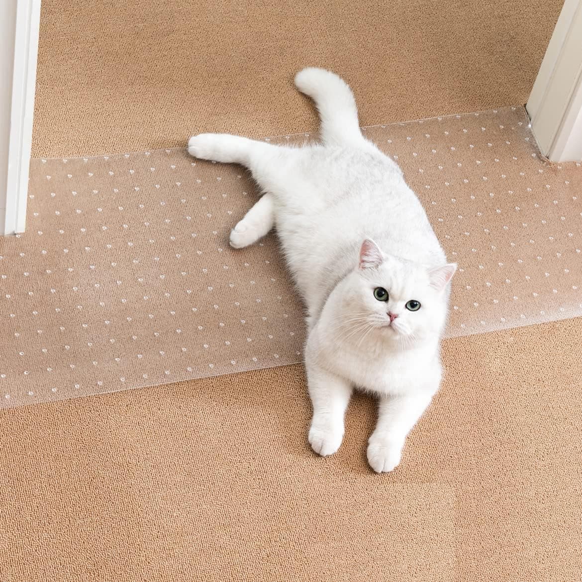 Carpet Protector for Pets - 110CM Cat Protector for Doorway, Anti Scratch Under Door slip Cats Scratching Mat, Easy to Cut Plastic pad Scratch Stopper, Cat Scratch Guard