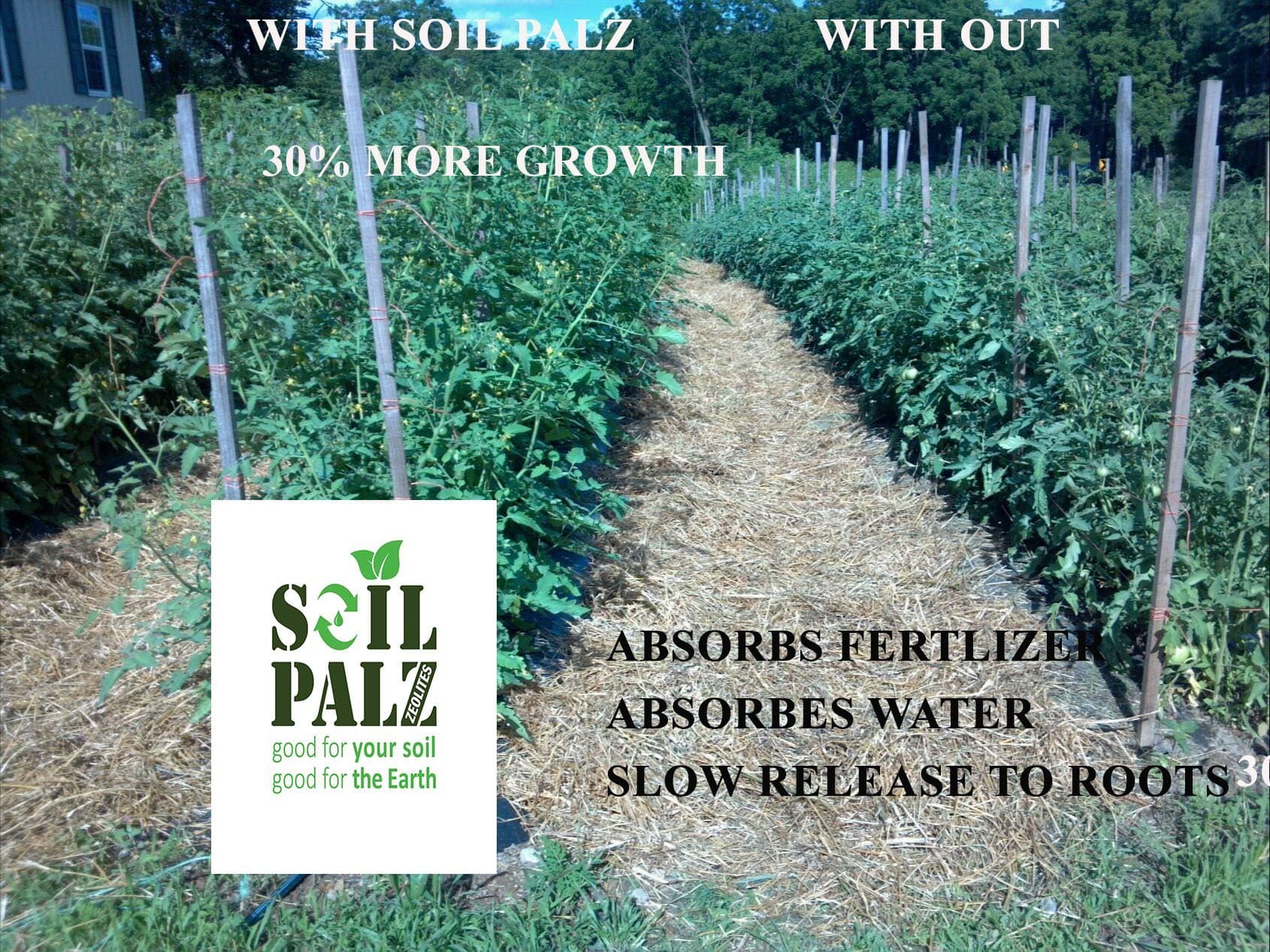 ZOIL TECH 25LBS 25% OFF SPECIAL