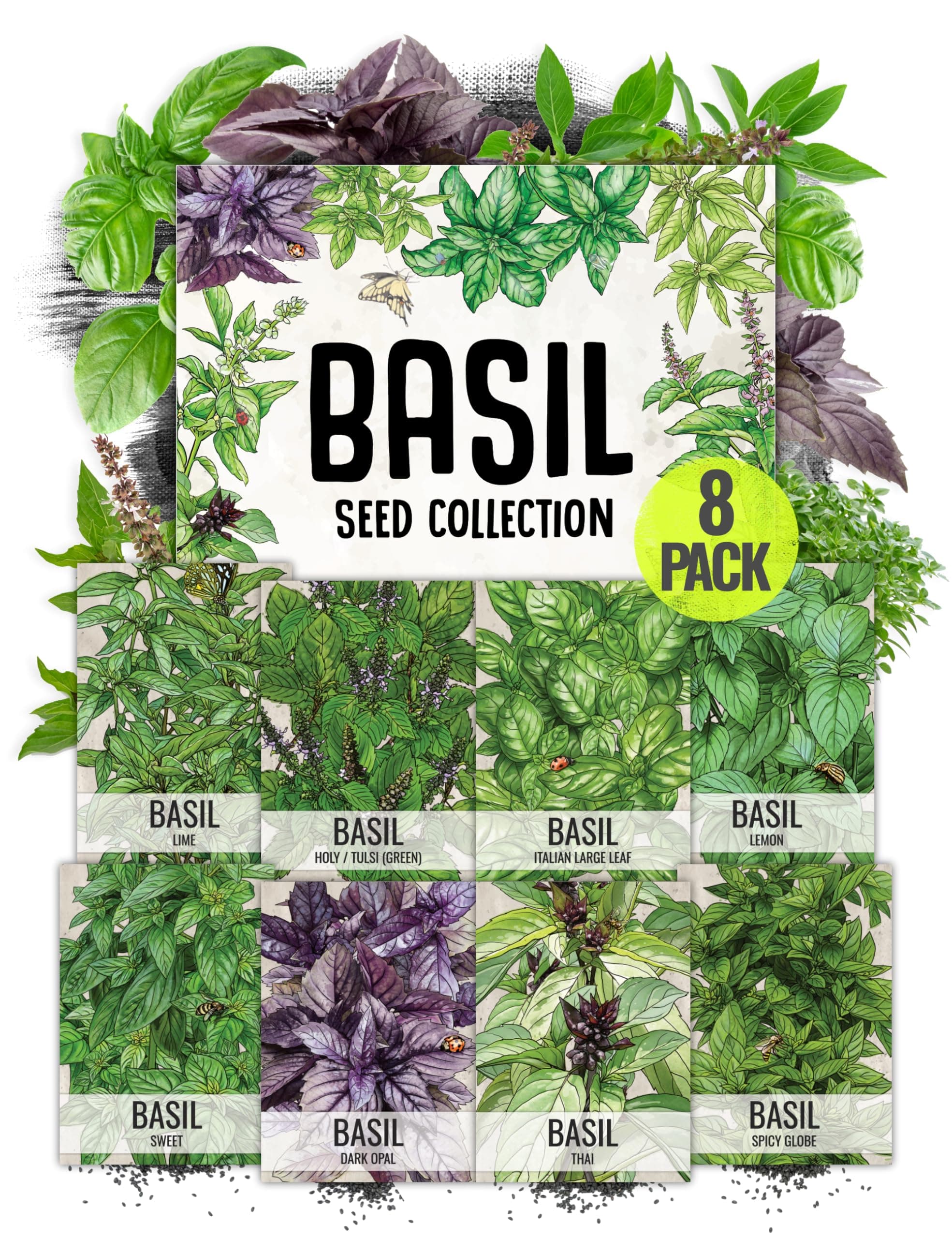 Seed Needs, Culinary Basil Herb Seed Packet Collection (8 Individual Basil Seed Varieties for Planting) Non-GMO & Untreated