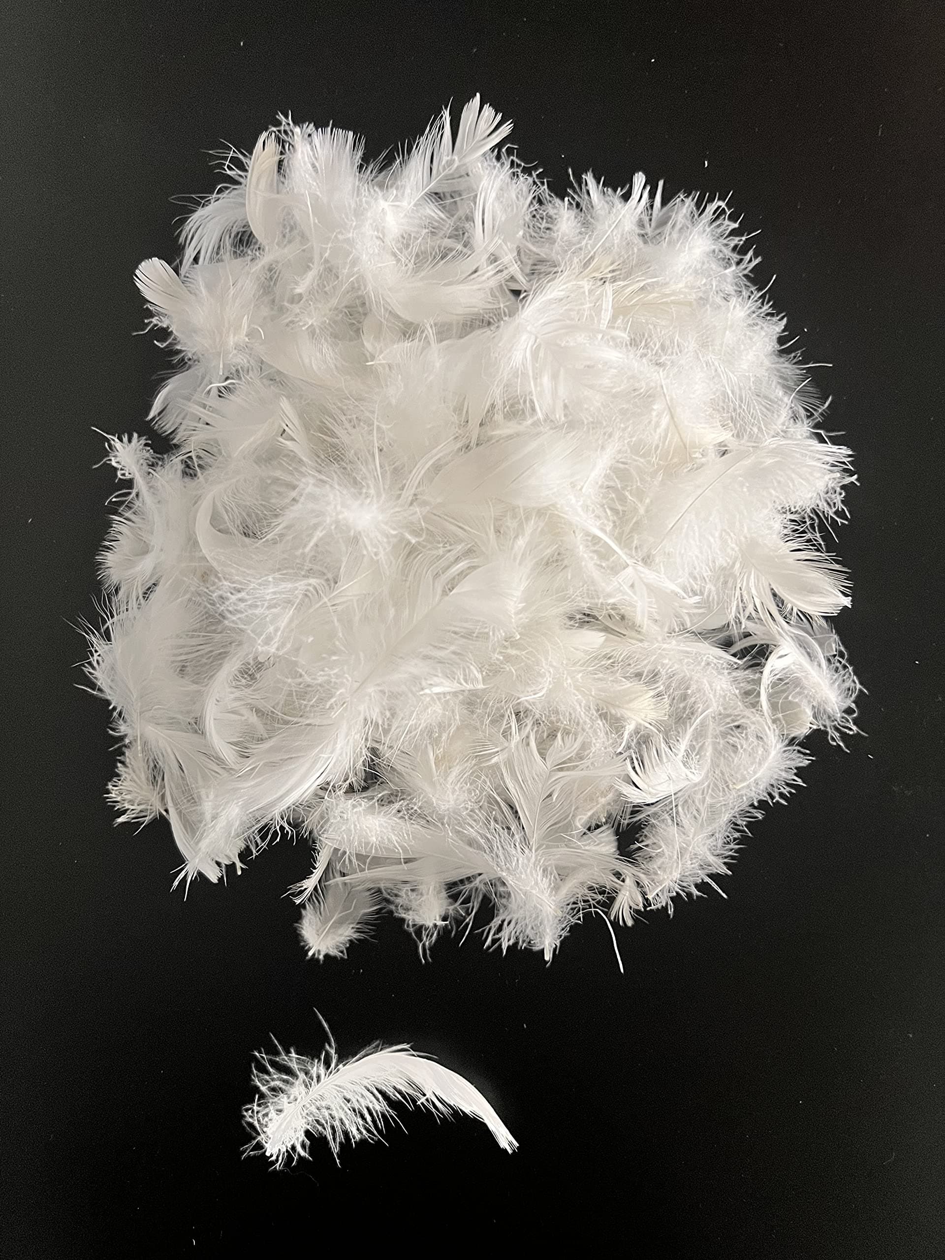 Bulk Goose Down Feather Stuffing & Fill – Hypoallergenic Pillow Filling, Repair, Restuff, Fluff for Couch Cushions, Comforters, Jackets5/95-4Lb DIY