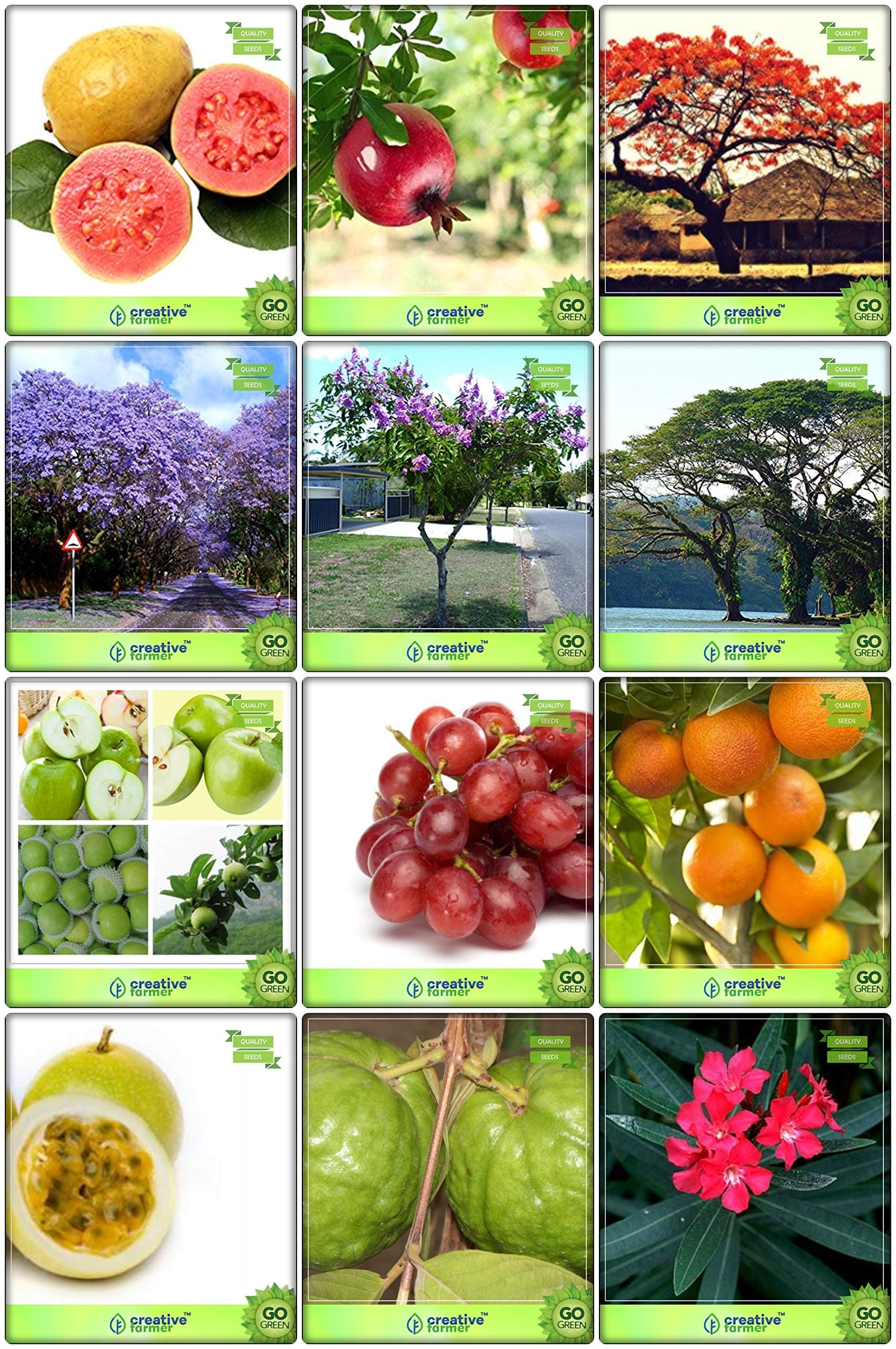 Creative Farmer Pack Seeds Combo Tree Seeds : Jacaranda Mimosafolia, Flame Tree, Lagerstroemia Speciosa, Coco Tamarind, Nerium Oleander, Lemon Guava, Pomagranate, Apple, Grape, Orange, Passion Fruit - Yellow, Thailand Guava Terrace Gardening