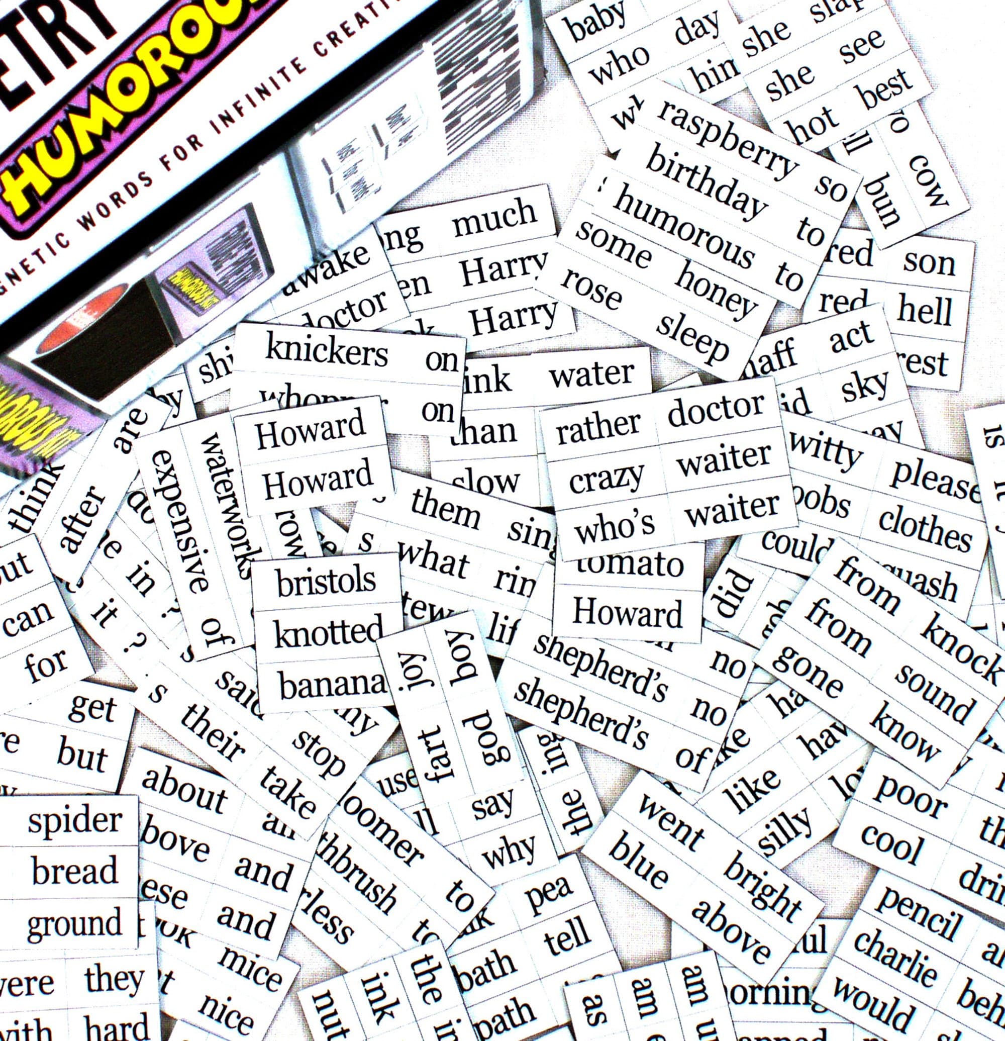 Humorous Fridge Poetry Magnet Set