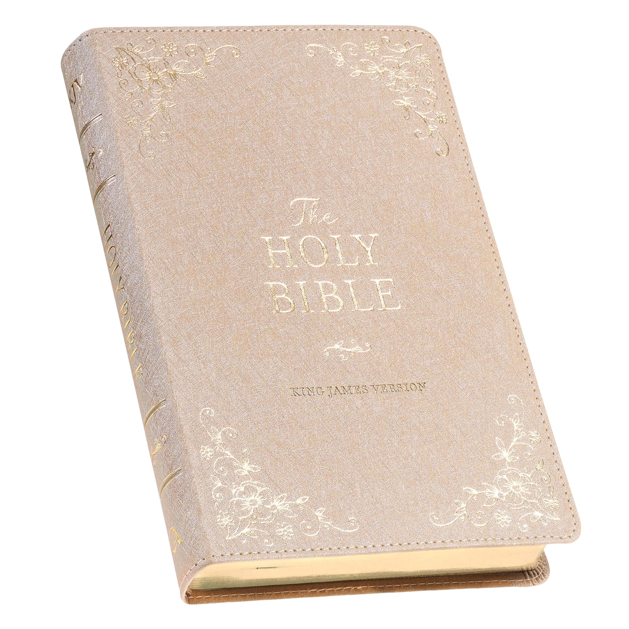 KJV Holy Bible