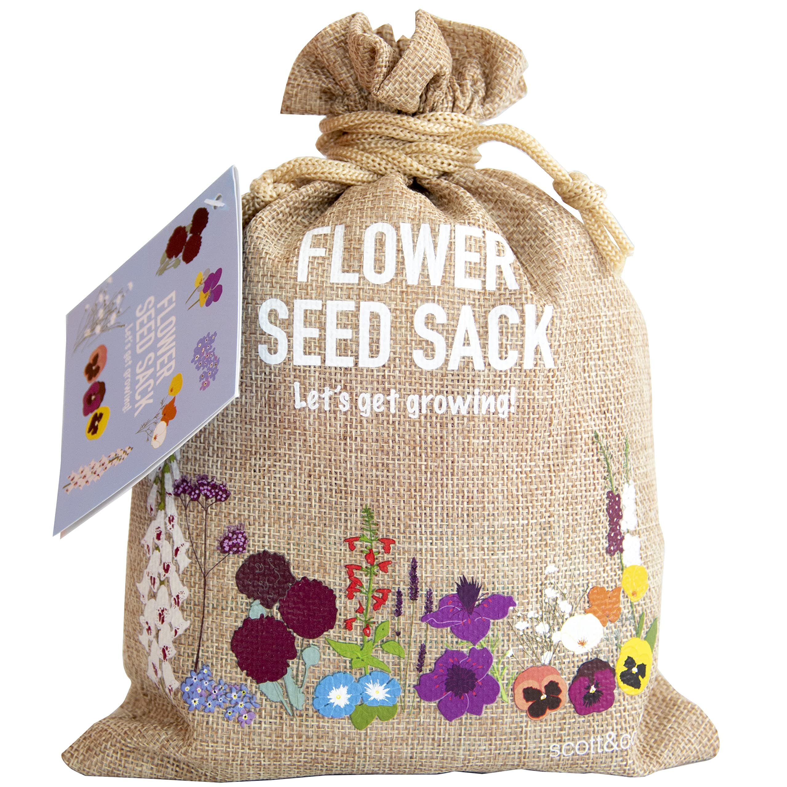 Scott&Co. Flower Seed Variety Pack - 30 Different Varieties of Flower Seeds to Grow Your Own. Butterfly and Bee Attracting, Grow Indoor and Outdoor. Gardening Gifts for Women and Men.