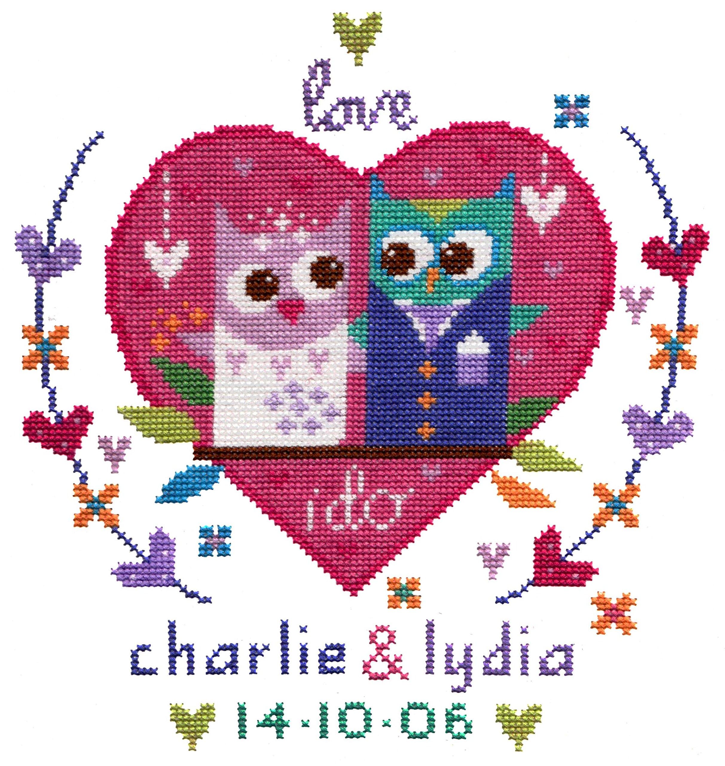 The Stitching Shed Owl Wedding Sampler Counted Cross Stitch kit