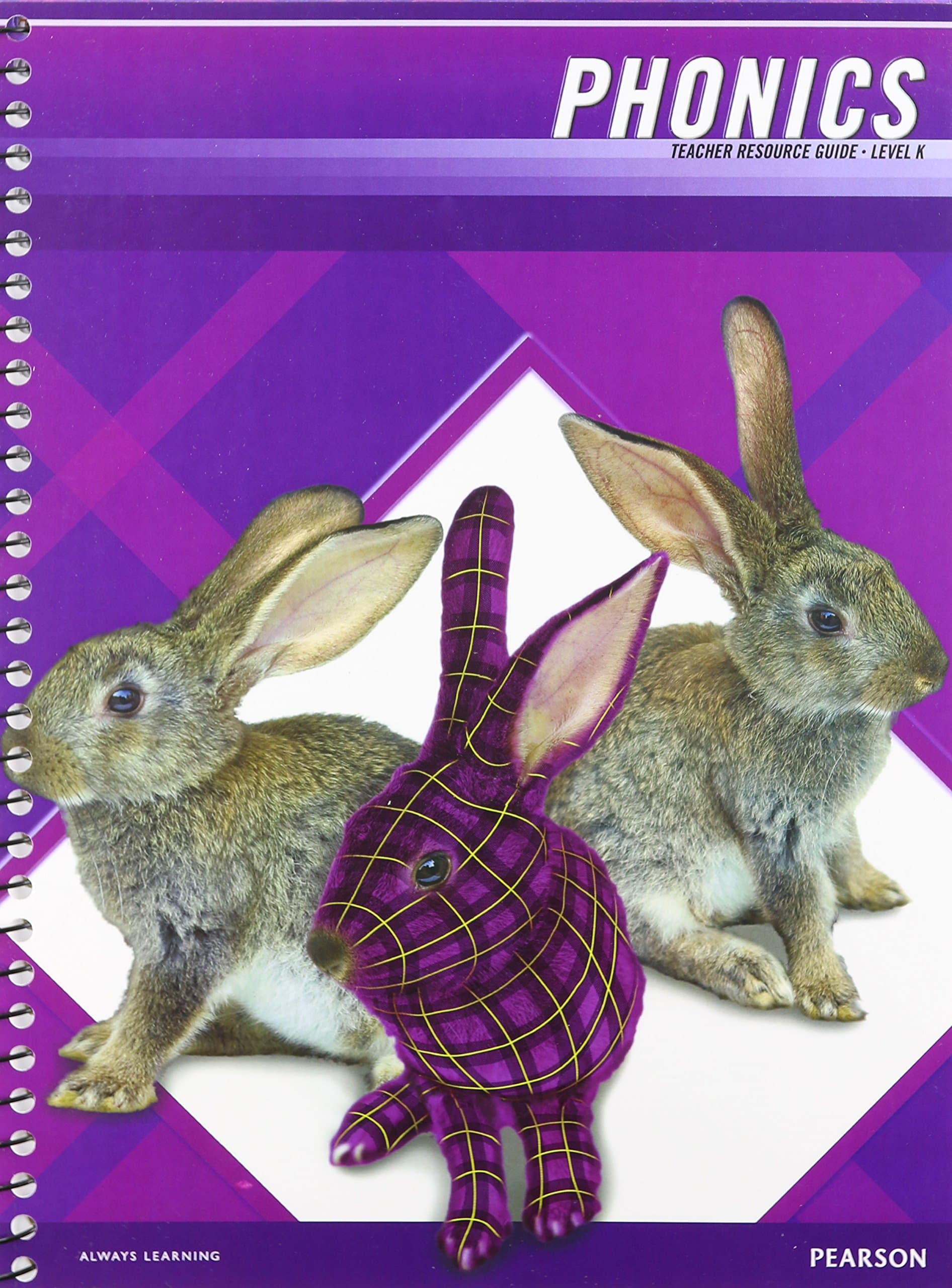 PLAID PHONICS 2011 TEACHER RESOURCE GUIDE LEVEL K Hardcover – May 27, 2011