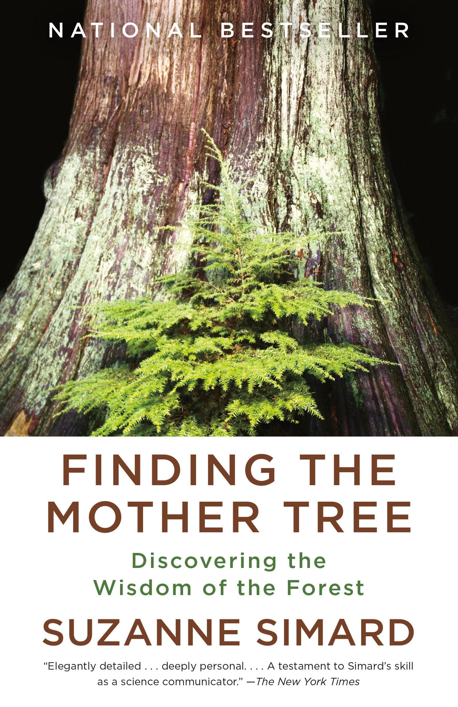 FINDING THE MOTHER TREE Paperback – 21 June 2022