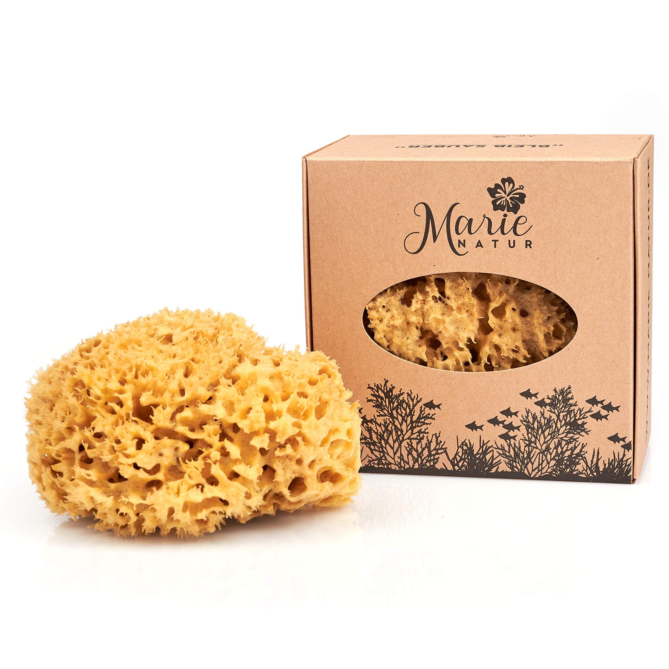 Natural sponge 16 cm - without plastic package - premium quality - natural unbleached - from the Mediterranean Sea