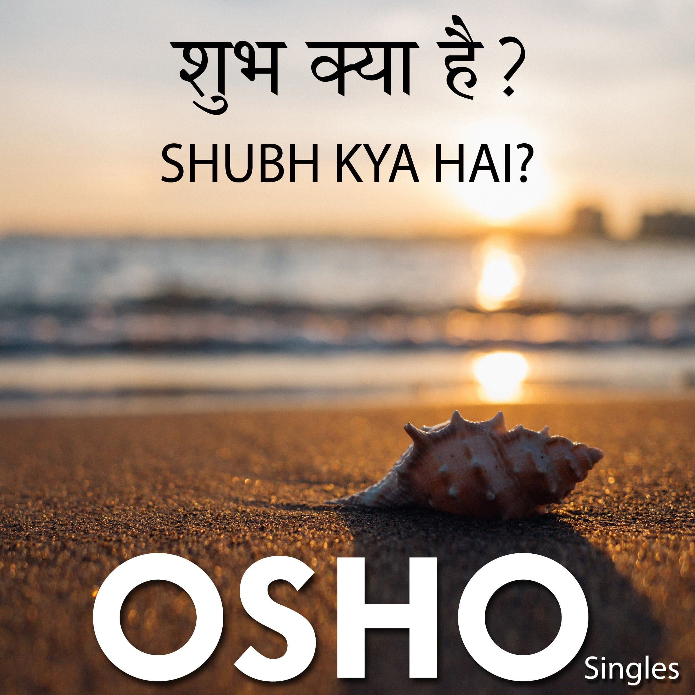 Shubh Kya Hai (Hindi)