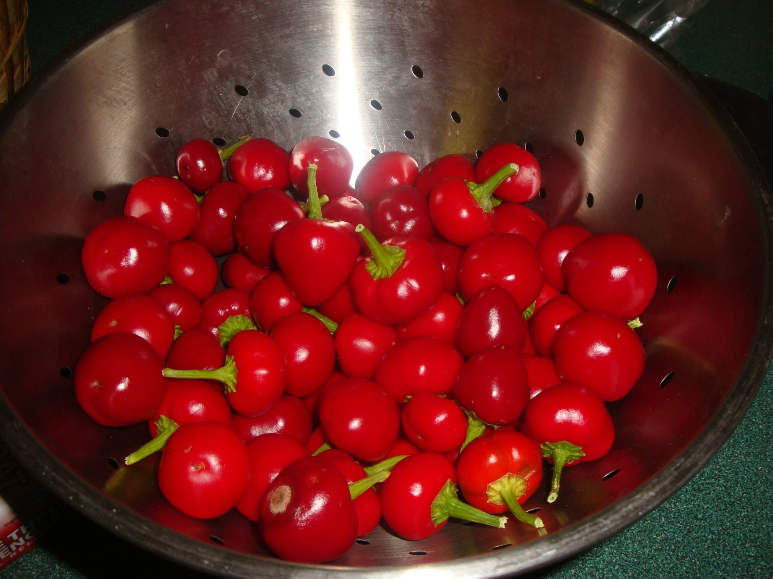 Hot Cherry Pepper Seeds - Meenu