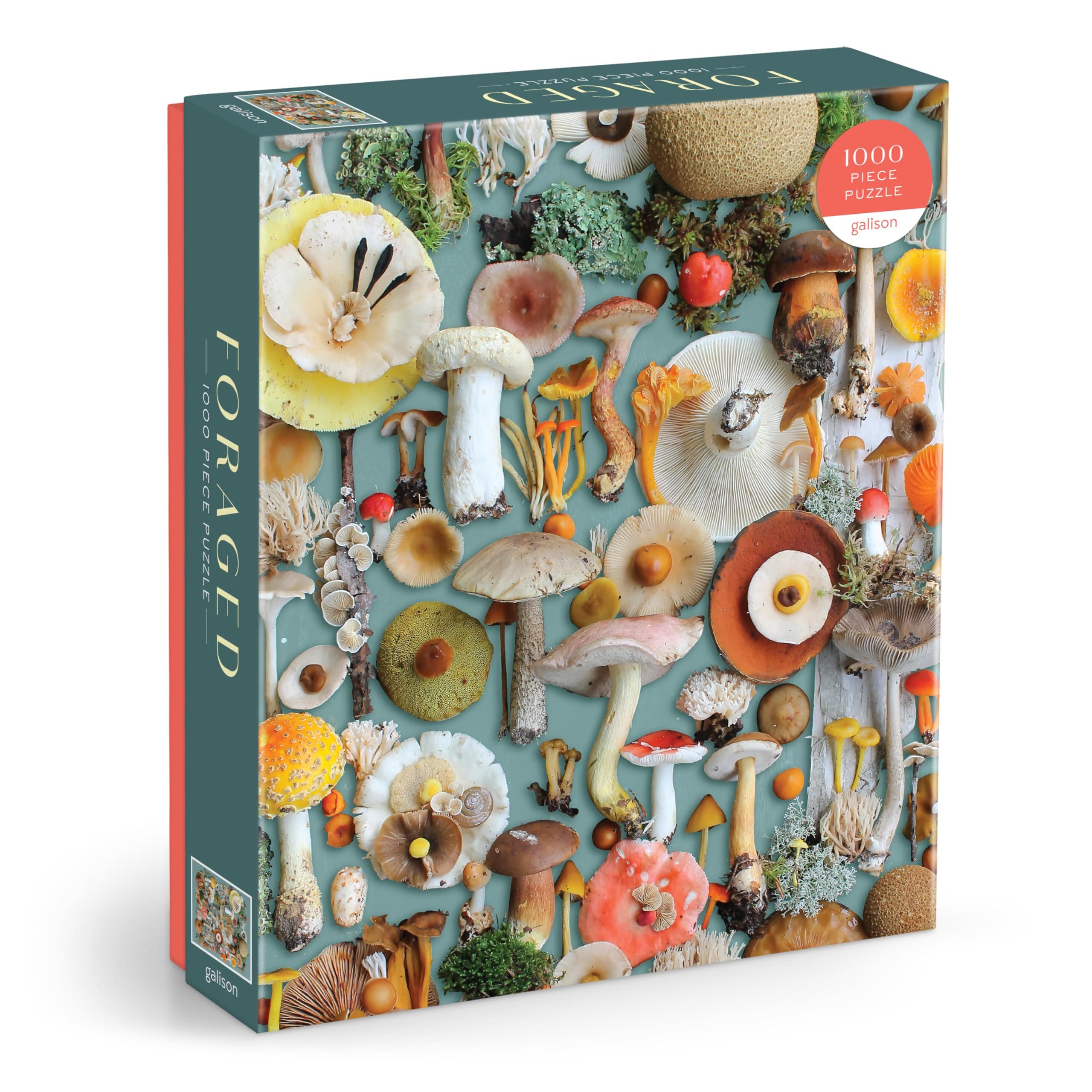 Galison Foraged – 1000 Piece Puzzle Fun and Challenging Activity with Bright and Bold Artwork of A Mushroom Collection for Adults and Families