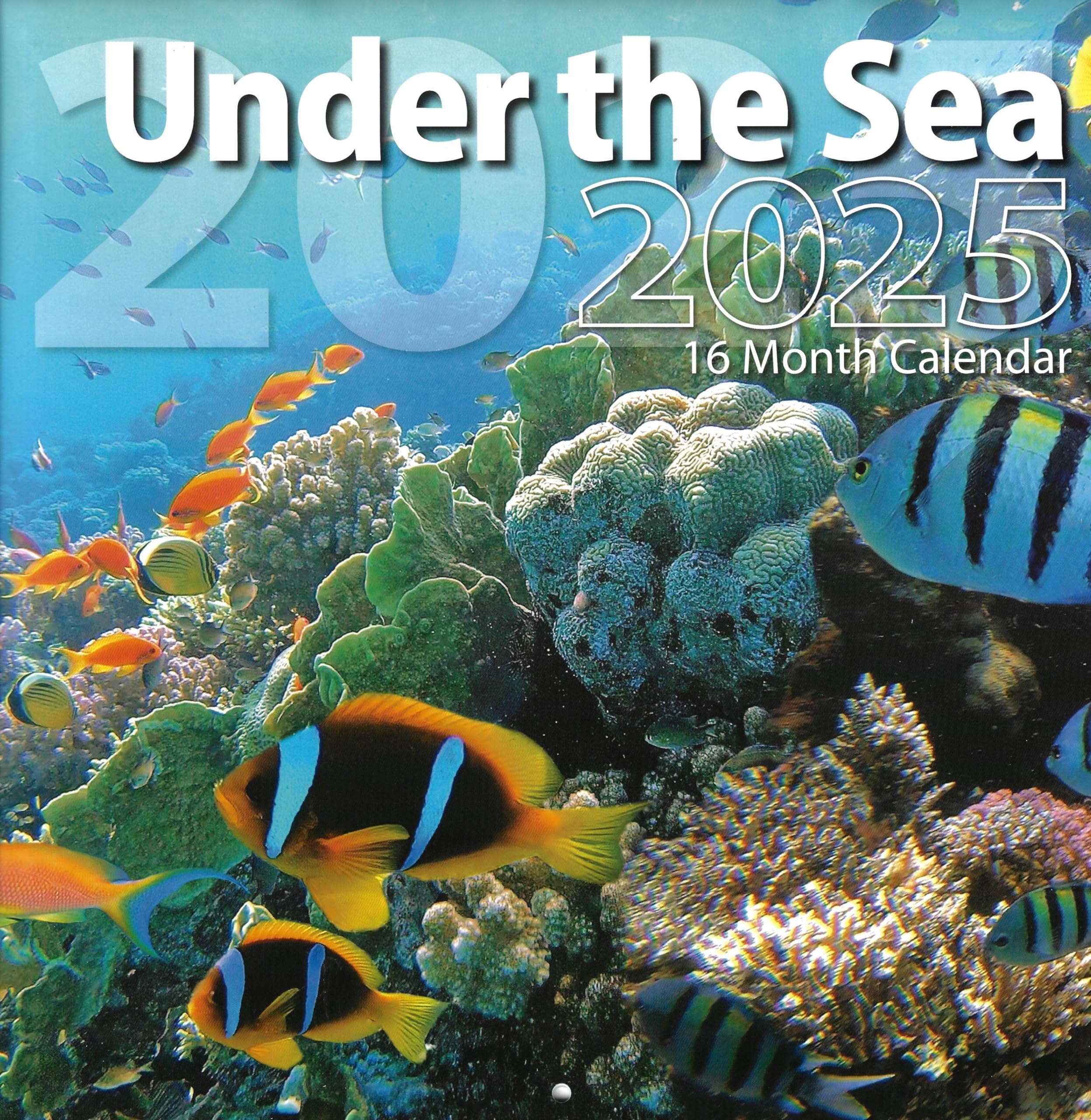 Bachmann Press 2025 Under the Sea Full Size Wall Calendar for Planning, Scheduling, and Organizing