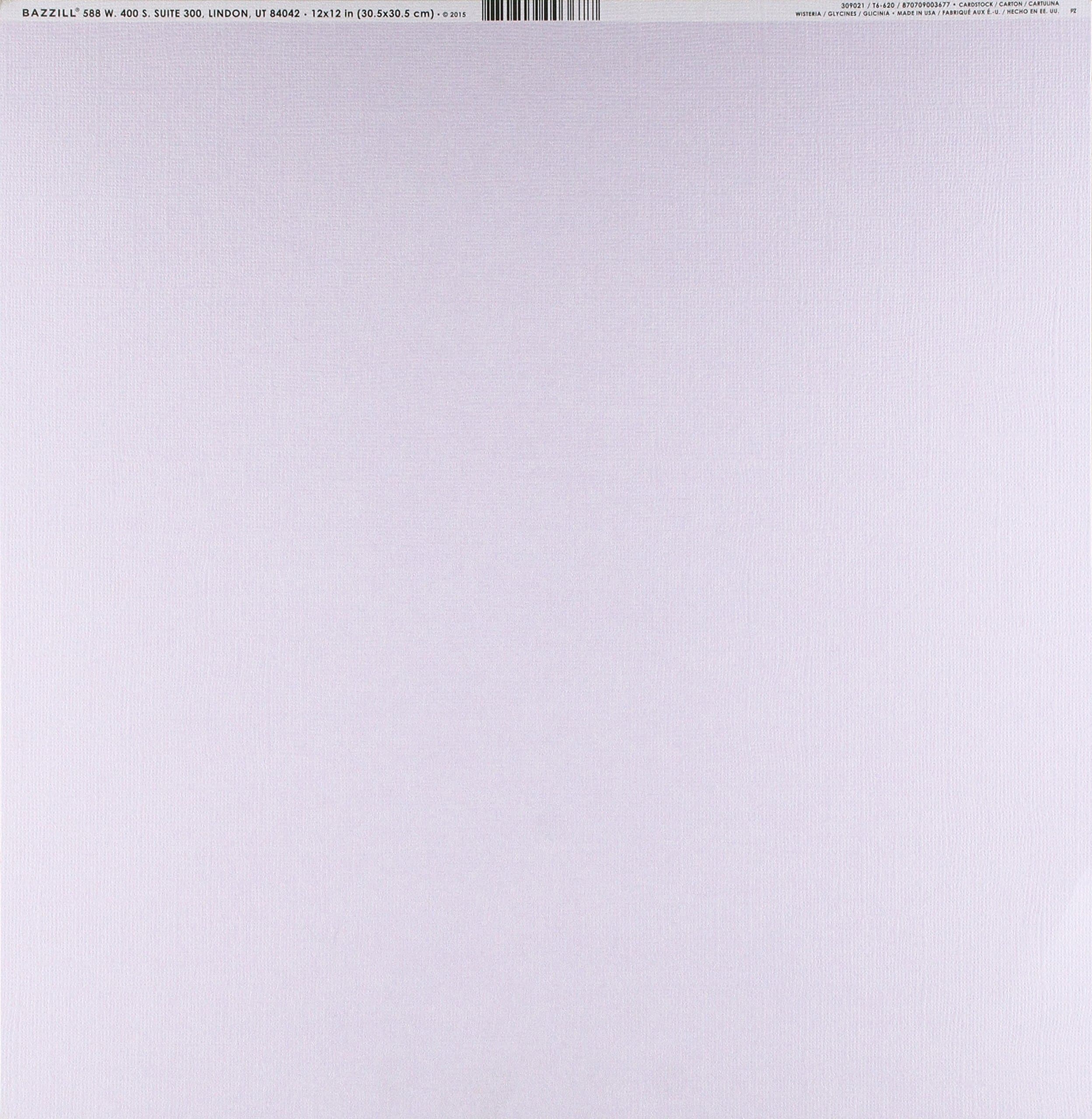 Basics Paper 25 ScrapBooking Sheets Canvas Texture, Wisteria