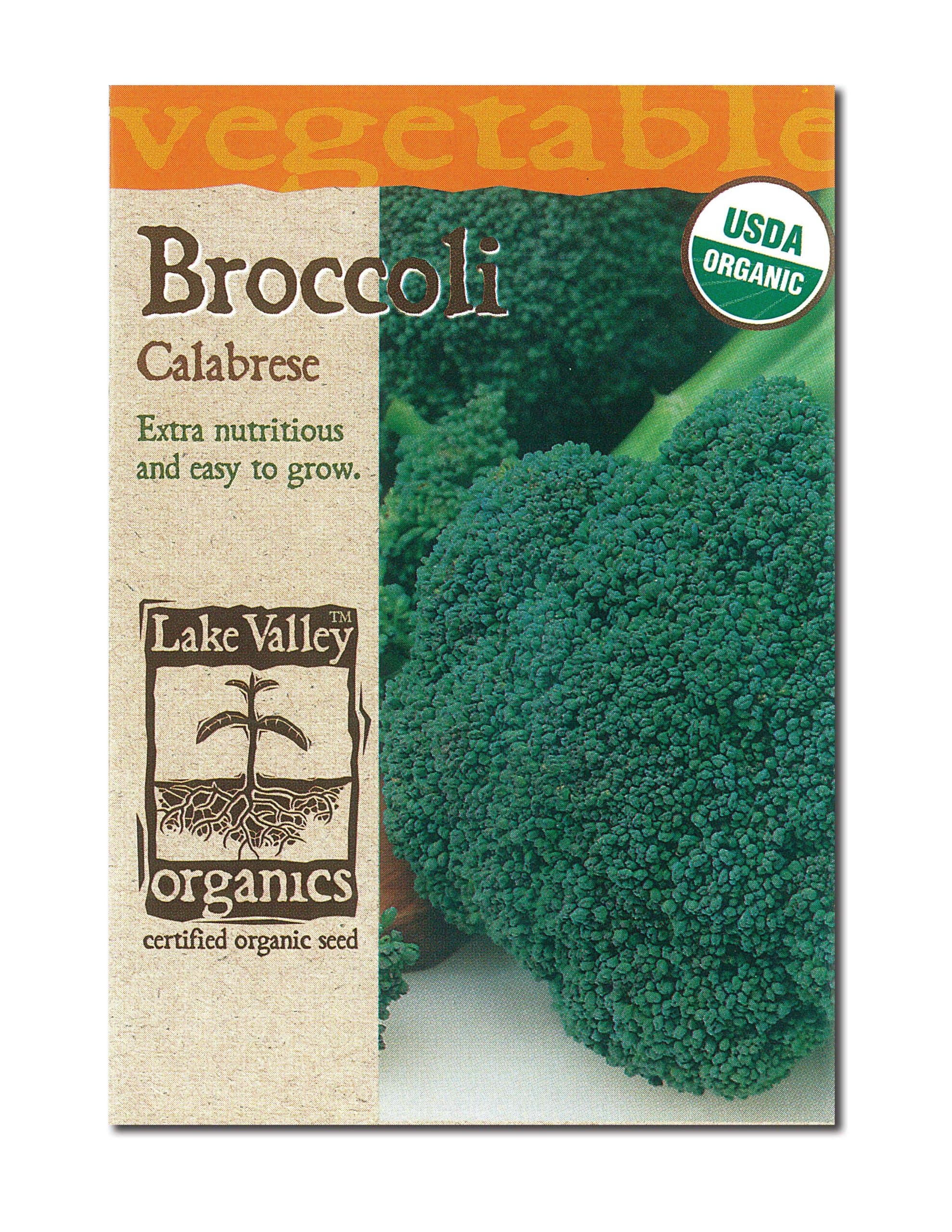 Organic Calabrese Broccoli Seeds - 2 grams