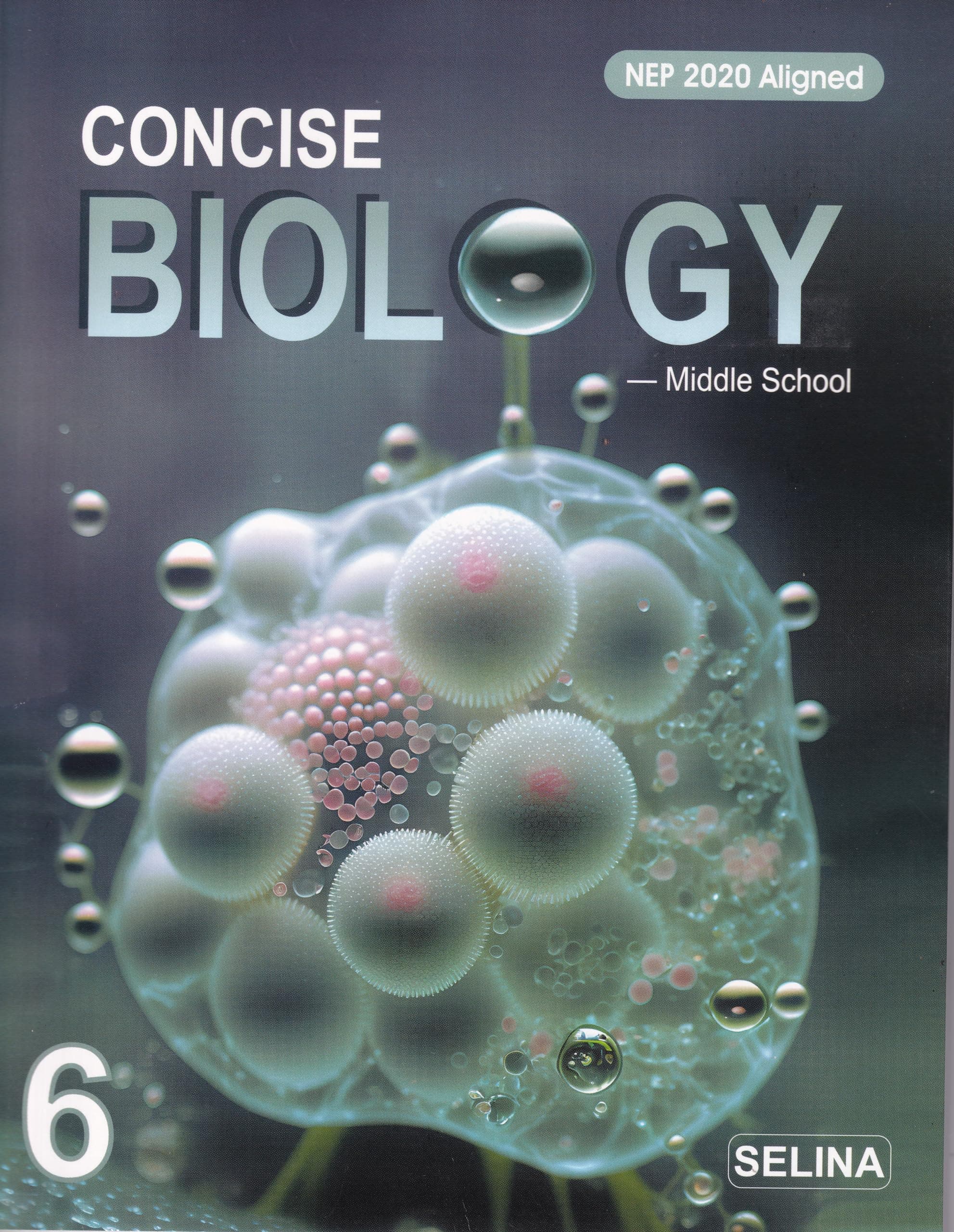 Concise Biology Class 6 - by Dr. K.K. Gupta, Mary Anne Joseph (2024-25 Examination)