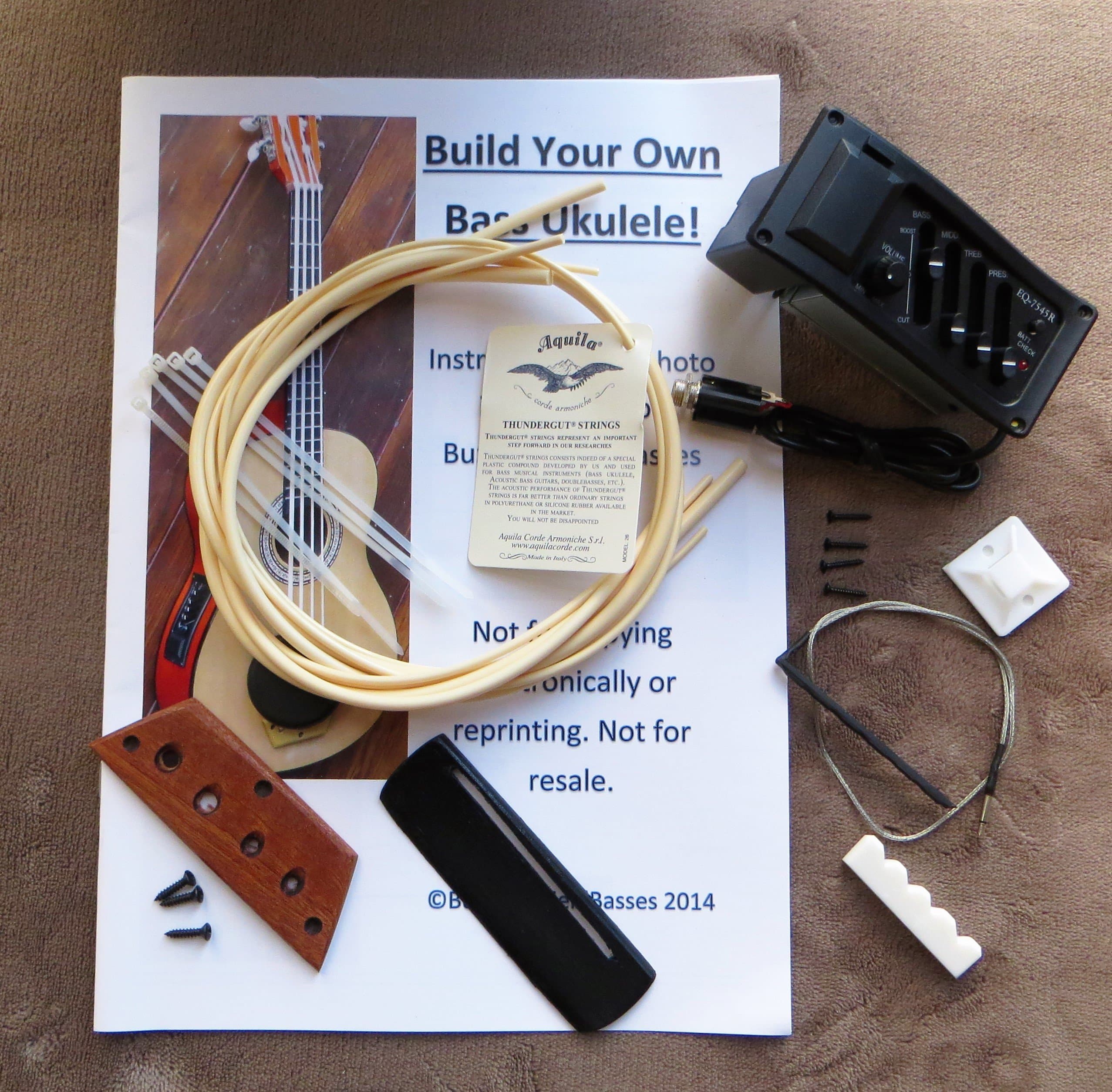 Build Your Own Bass Ukulele