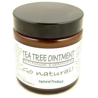 Natural Healing Tea Tree Ointment 60ml, problem feet including infections, athletes foot or just bad odours