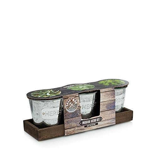 Shed Man Indoor Herb Kit