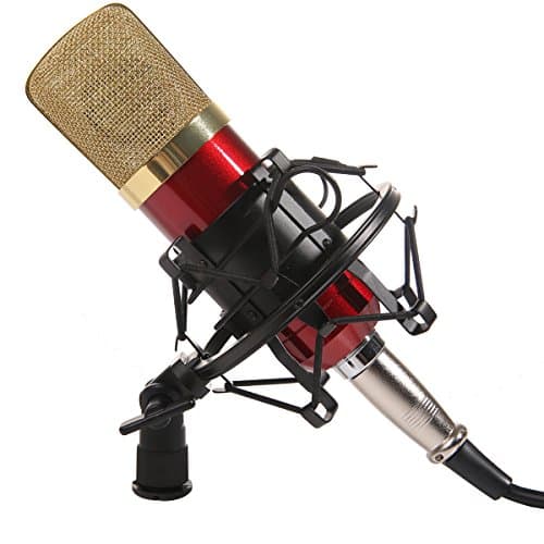 Dolotu BM Series Dynamic Condenser Microphone Sound Studio Recording Mic+ Shock Mount + Microphone Windshield- Professional Studio Broadcasting & Recording Microphone SetEnjoying Singing Speaking High Party (BM700, Red)