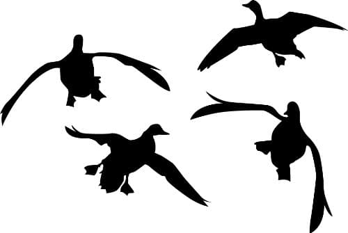 Jukin' Four Ducks Wall Decal (Black - Facing as Shown - Small) - Waterfowl Collection
