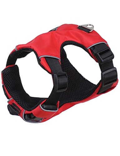 Clearance Sale Soft Dog Harness , Front Range Everyday Harness (M, Red)