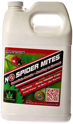 1 gal. - No Spider Mites RTU - Insect and Mite Control - Insecticide Solution - 704775