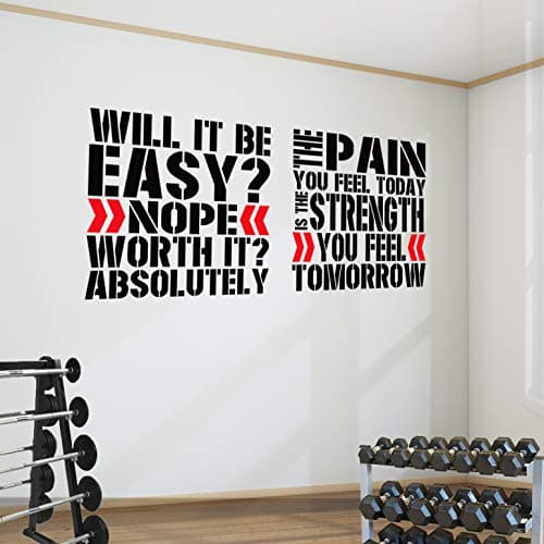 2 Pro Gym Exercise Spinning Class Wall Decal Quotes Great Savings! Worth It Pain. (Large: Each Decal is 24'' x 22'' (60cm x 57cm))