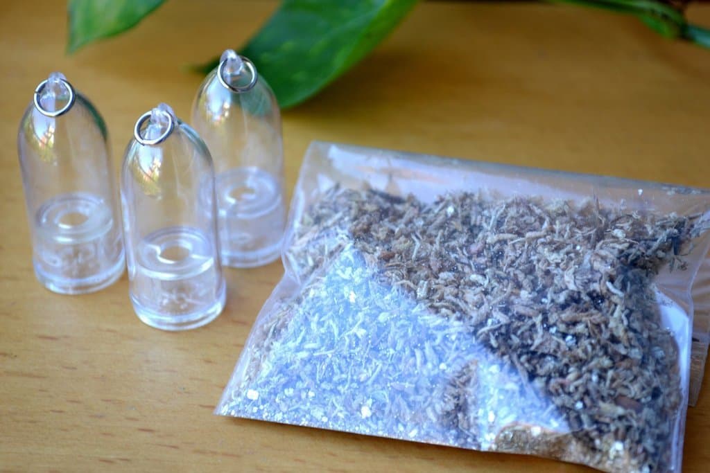 DIY Mini Terrarium Capsules Kit - 3 PCS with Small Bag of Media