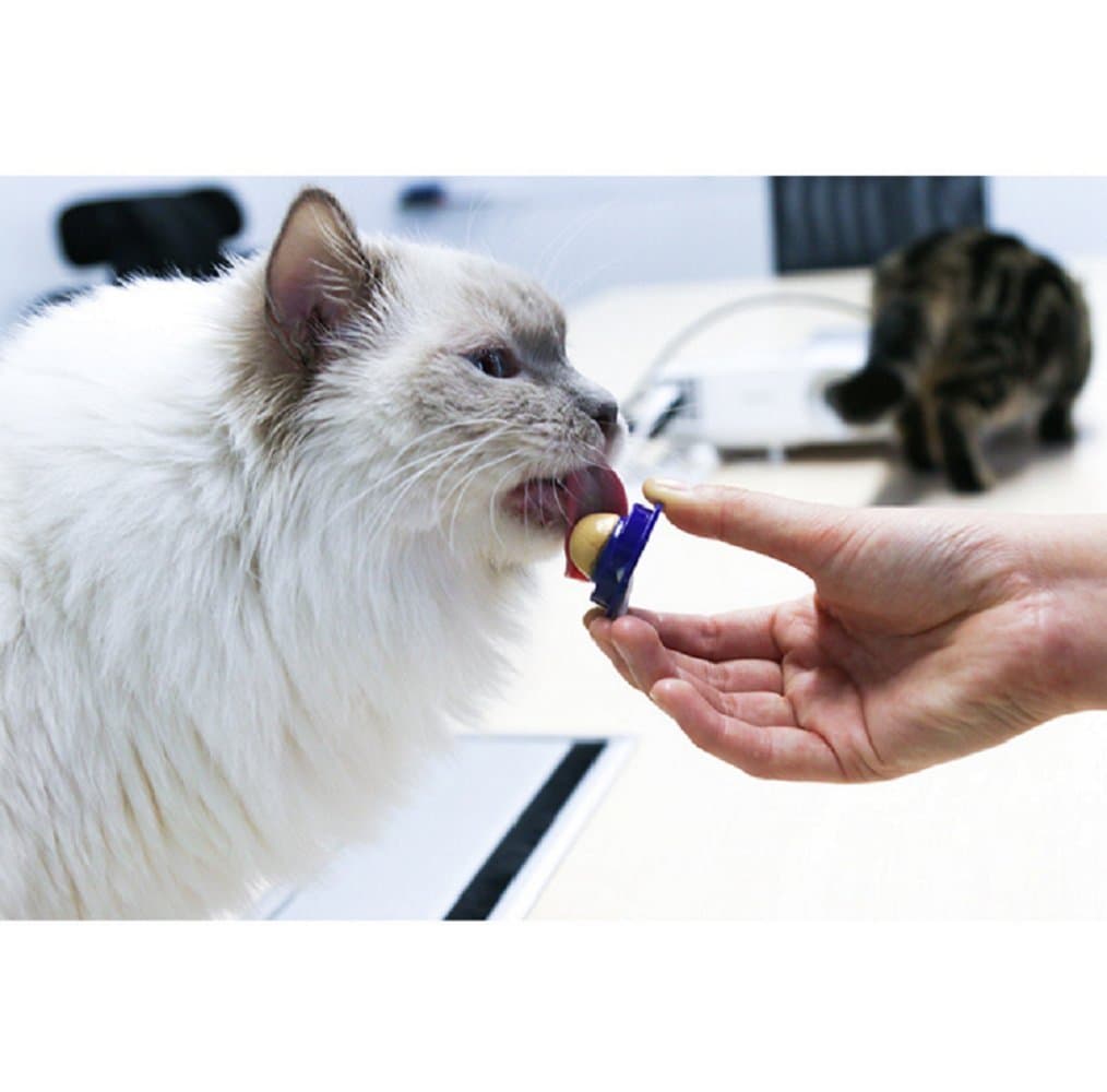 MATECam Cat Snacks Candy Licking Sugar Solid Nutrition Gel Energy Ball Cat Treat, Increase Drinking Water And Help Digestion (2pack)