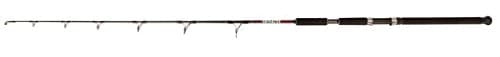 Jenzi Catfish Rod Baitmaster Vertical 100-250g