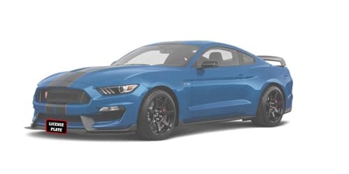 Removable Front License Plate Bracket fits 2015-2018 Ford Mustang Shelby GT350 and GT350R