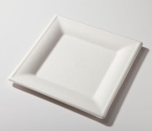 10" Biodegradable Square Plate Sugarcane (Pack of 125)