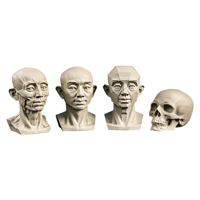 Head Models for Portrait Sketching, Resin Plaster Statues, Drawing Models for Art Students, Still Life Skulls, Small Resin Human Manikin Head Sculpture for Medical Drawing Teaching (A Set (4Pcs))