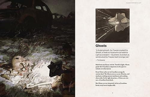 Partners in Light (Destiny Grimoire Anthology, 6)