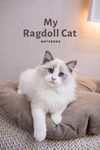 My ragdoll cat Notebook: ragdoll cats Journal / Notebook to Write in / Bookstore Cats : (Great gift for girls, kids, youth, teens, grand daughter, ... Cat / Trendy Ruled Note Book/ Personal Diary