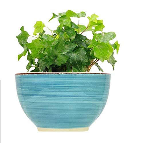 LTM Ceramic Decro Flower Pot (2 Packs) Planters 5.5" - Decorative Garden Planter Pots Outdoor/Indoor Home Office Desk, Plant Containers with Drainage Hole - 2 Packs