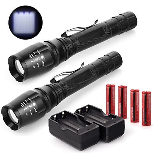 2x 800 Lumens Led Flashlight 18650 Cree T6 Xml+battery and Charger