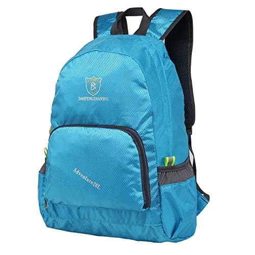 DAOFENG Ultra Lightweight Packable Backpack Handy Travel Hiking Daypack Foldable Camping Outdoor Backpack 20L (Sky Blue)