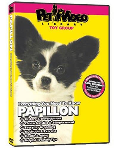 PAPILLON DVD! Includes Dog & Puppy Training Video